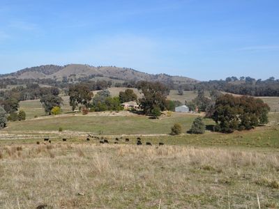 689 Mountain Creek Road, Mullengandra