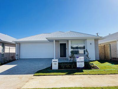 12 Harvest St, Morayfield