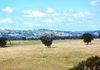 1321 Peabody Road, Molong