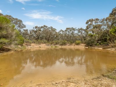 77 Youngs Lane, Heathcote