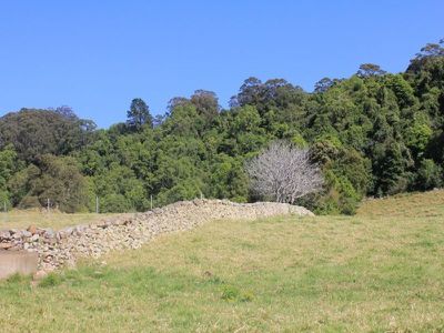 373 Kangaroo Valley Rd, Berry