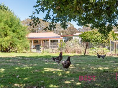 4 Selby Street, Lyndhurst