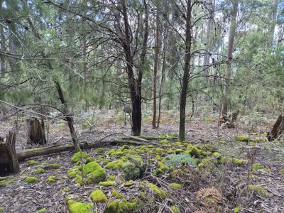 Lot 2, Off Paddys Lane, Franklin
