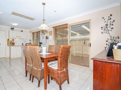 46 Ibis Circuit, Forest Lake