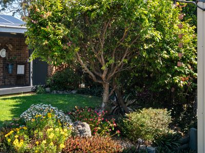 9 BAXTON PLACE, Shailer Park