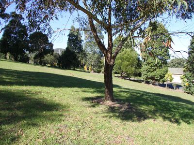 35 Panorama Crescent, Forster