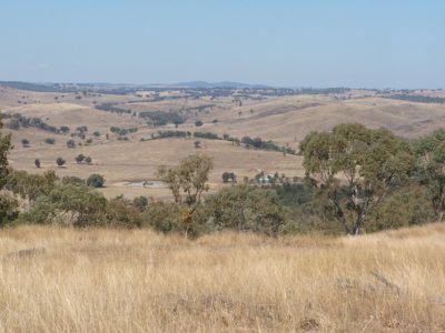 Pindari Dam Road, Ashford