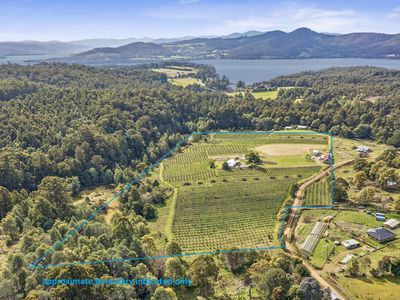 50 Cairns Road, Surges Bay