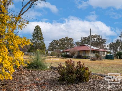 22 Dumaresq Street, Glen Innes