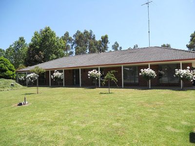 20 Arthur Street, Tarpeena