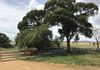 ‘Terutani’ 1097 Davys Plains Road, Cudal