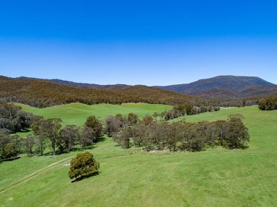3724 Tallangatta Creek Road, Tallangatta Valley
