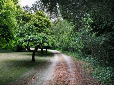 768 Mount Macedon Road, Mount Macedon
