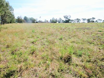 Lot 101, Golden Highway, Merriwa