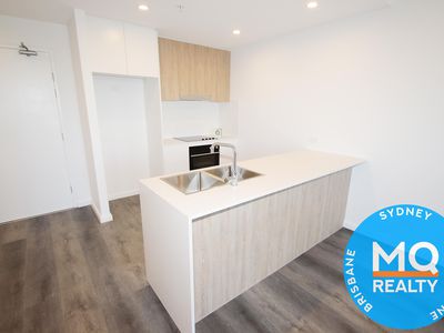 810 / 11 Raphael Street, Lidcombe