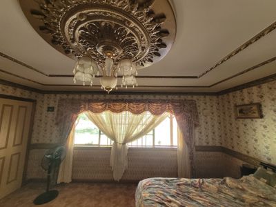 32 WILLOUGHBY STREET, Willows