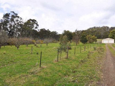 Wattle Grove