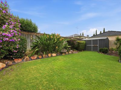 5 The Rapids, Mount Annan