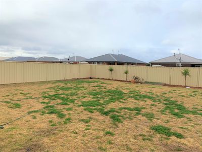 52 Madden Drive, Griffith