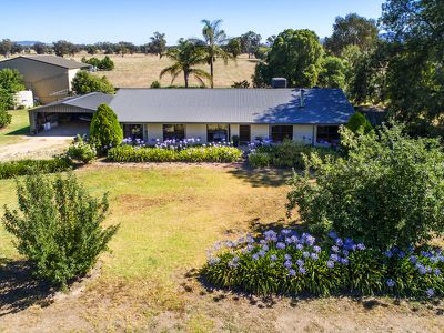 167 Tynan Road, Table Top