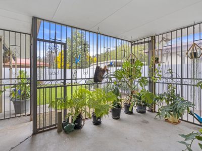 1 / 59 Kelly Street, Tocumwal