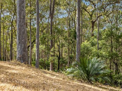 Lot 50, Woodlands drive, Narooma