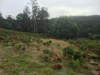 Lot 16 Waggs Gully Road, Ranelagh
