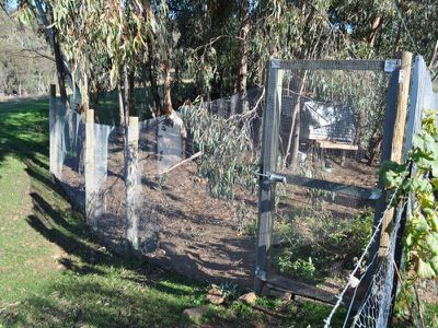 55 Odewahn Road, Splitters Creek