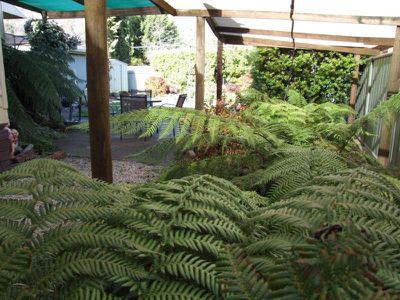 110 Lakeside Avenue, Mount Beauty