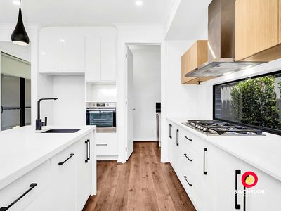 91 Solandra Crescent, Modbury North