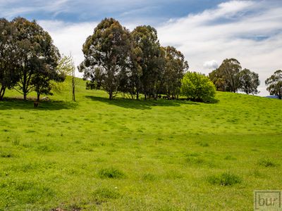275 Soldier Settlers Road, Tallangatta Valley
