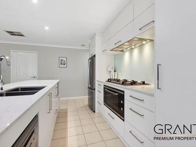 51 Jackadder Avenue, Hammond Park
