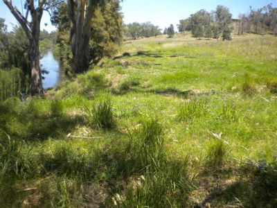 252 Old Guerie Homestead Road, Dubbo