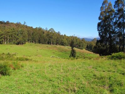 Halls Track Road, Pelverata