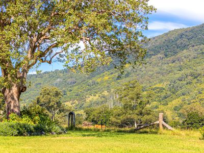 Mount George