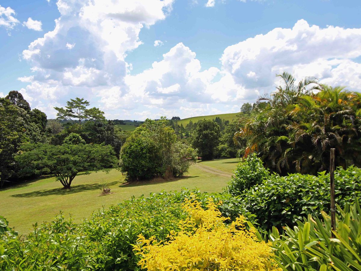 64 Sheehan Road, Tarzali