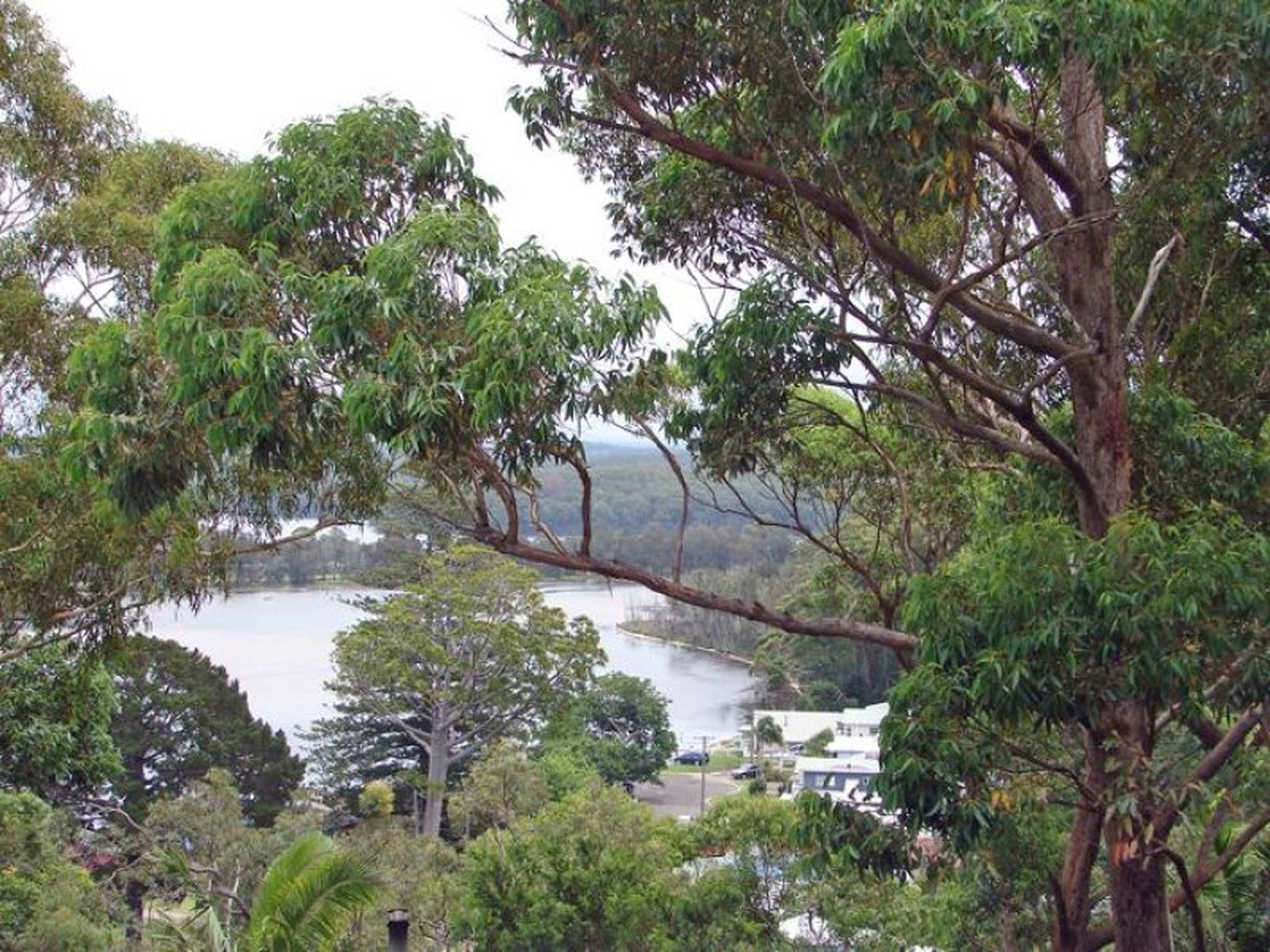 68 Canberra Crescent, Burrill Lake