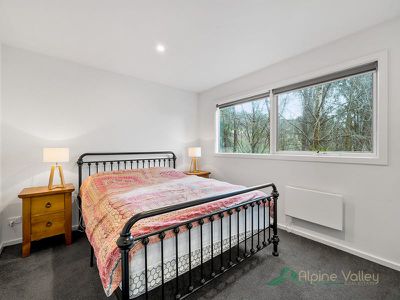 22 Fiddleback Drive, Tawonga South