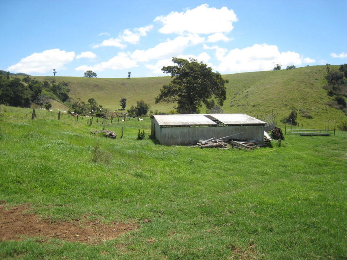 Millaa Millaa