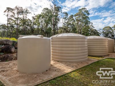 106 Warra Forest Road, Mount Mitchell