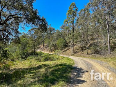 388 Swan Gully Road, Bromelton