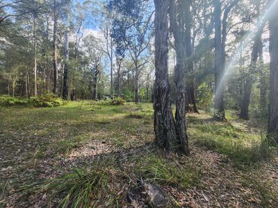 Lot 8, Pelican Road, St Georges Basin