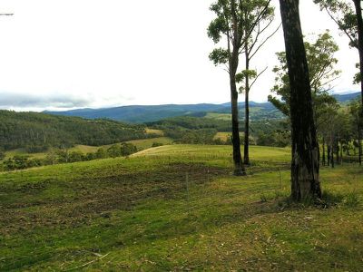 O'Hallarans Road, Geeveston