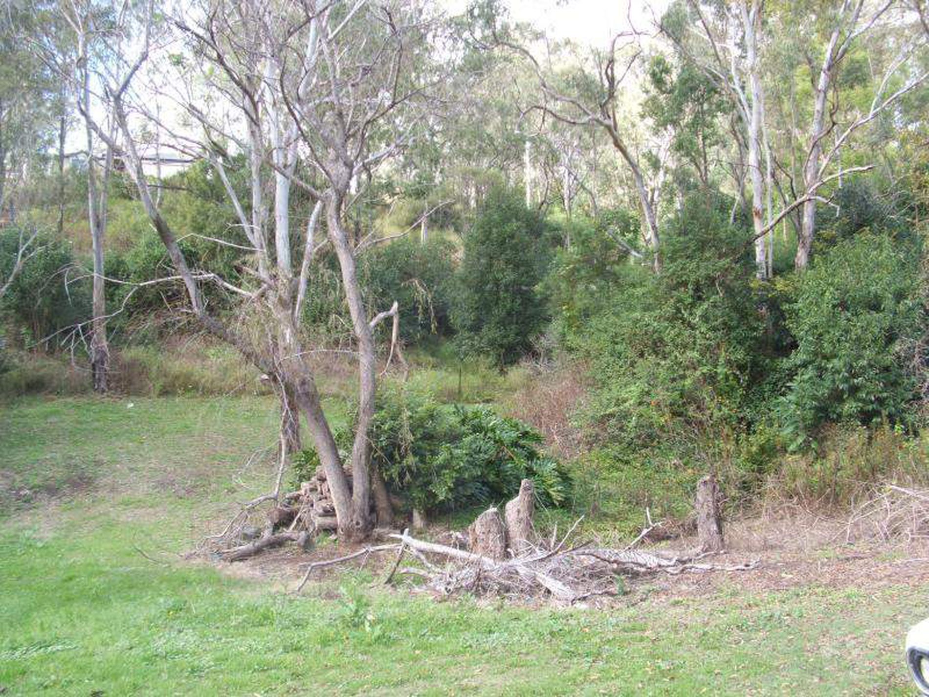 2267 Murphy's Creek Road, Toowoomba McAdam and Turnbull Realty