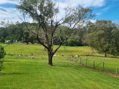 104 Gabal Road, Lillian Rock