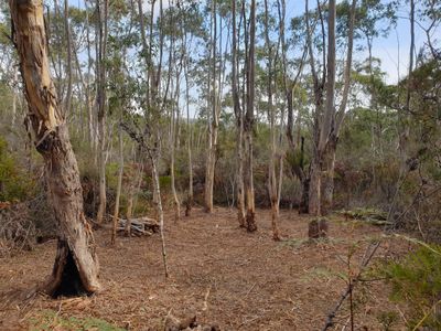 Lot 2, Brittains Road , Garden Island Creek