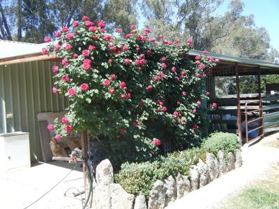 30-38 Hovell St, Avenel