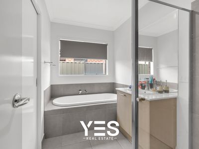 11 Nigella Street, Clyde