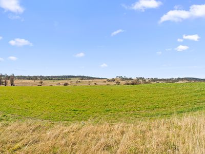 10233 Nerriga Road, Braidwood