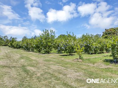 47 Keith Street, Bundamba